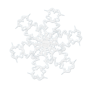 Snowflake PNG image-7533